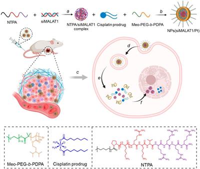 Nanoparticles (NPs)-mediated lncMALAT1 silencing to reverse cisplatin resistance for effective hepatocellular carcinoma therapy
